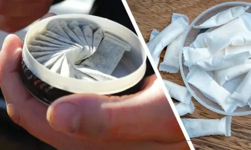 bild på snus dosa och nikotin påsar för snusbladet