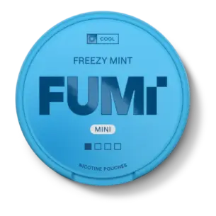 Bild på FUMi Mini Freezy Mint Snus