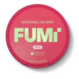 Bild på FUMi Mini Watermelon Mint Snus
