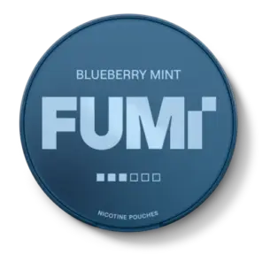Bild på FUMi Blueberry Mint 8mg Snus