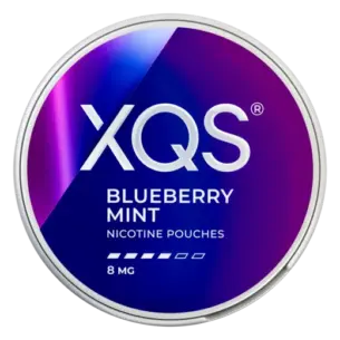 Bild på XQS Blueberry Mint 8mg Snus