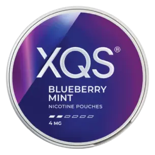 Bild på XQS Blueberry Mint 4mg snus