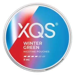 Bild på XQS Winter Green 8mg snus